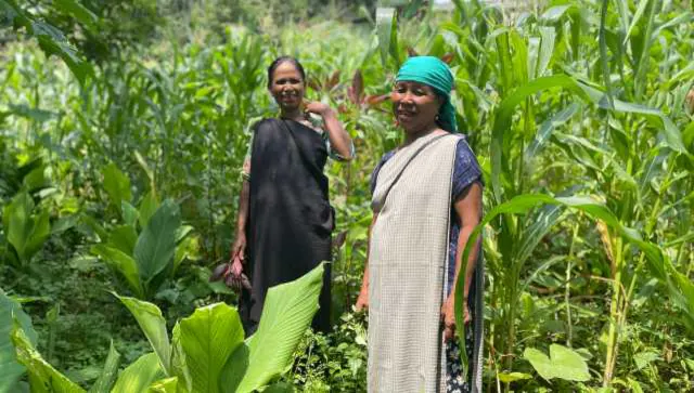 Climate woes, farm distress and agriculture future in Meghalaya