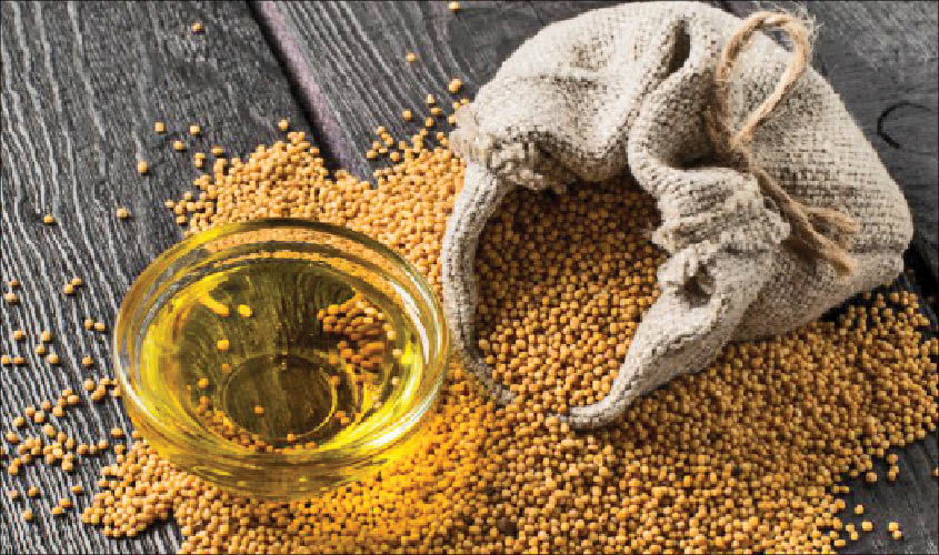 ‘No GM’ tag is crucial for India’s trade