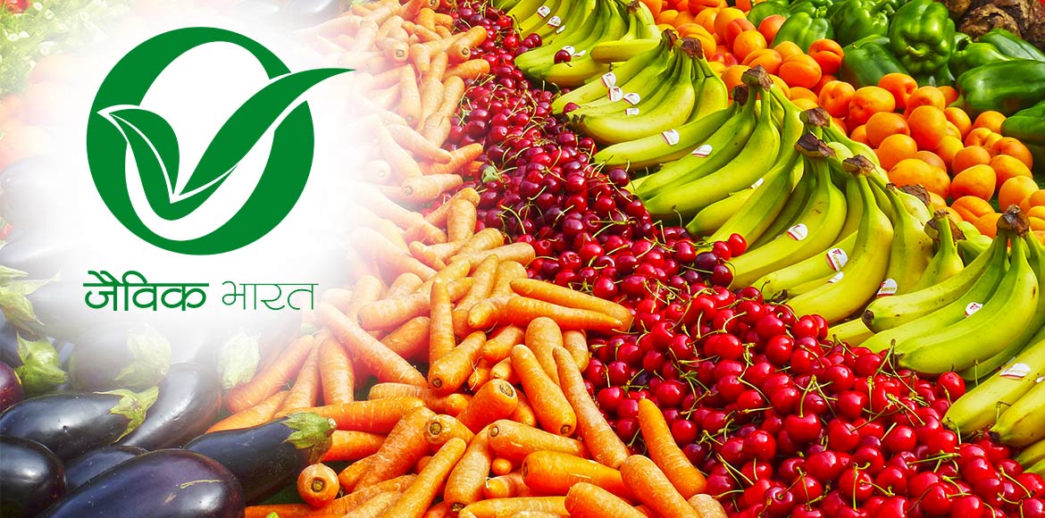 आत्मनिर्भर बीज स्वराज और अन्न स्वराज की ओर भारत-2