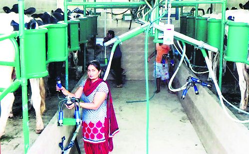 Farming can’t be sacrificed at altar of trade