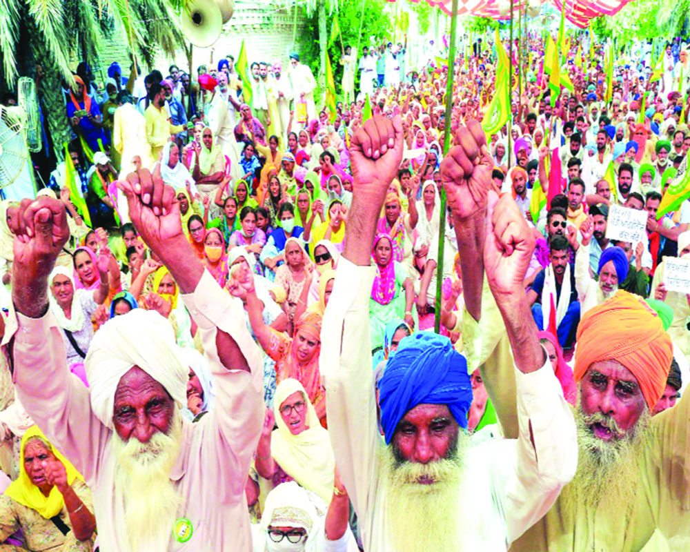 Free market or Company Raj?