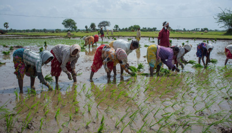 कृषि विधेयक और भारतीय किसान