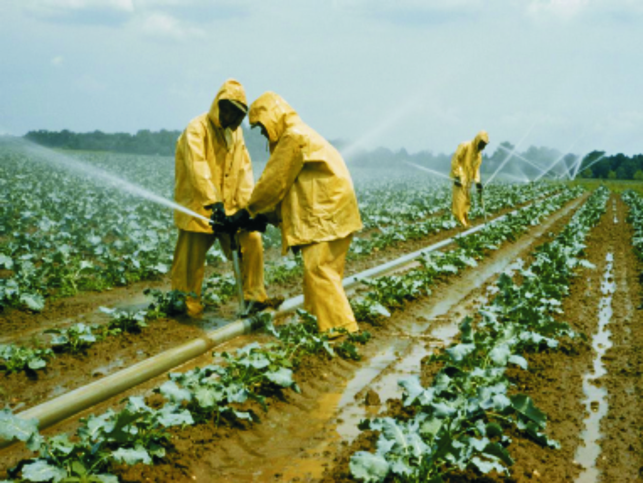 बहुराष्ट्रीय कृषि व खाद्य कंपनियों से सावधानी जरूरी!