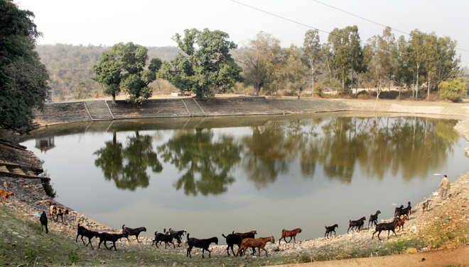 कहां गए पोखर-तालाब