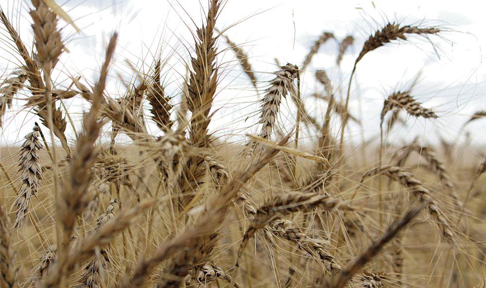 Markets have failed to prop up farm incomes