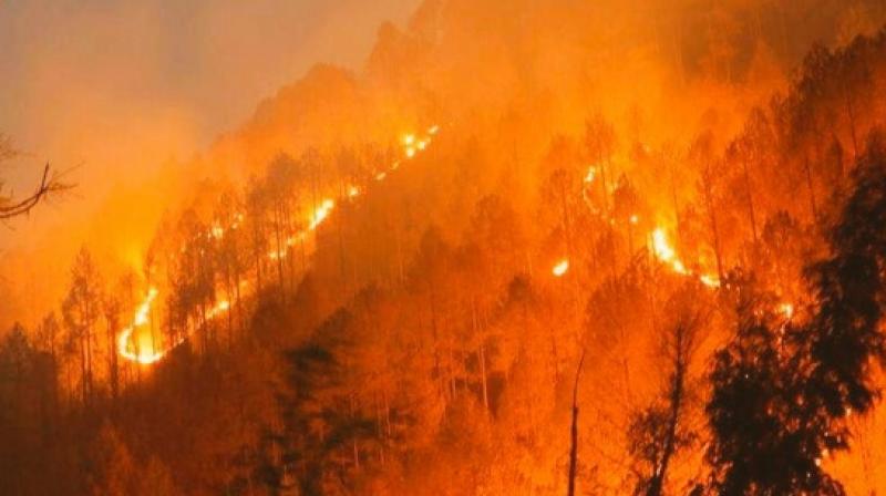 Why the hills are burning?