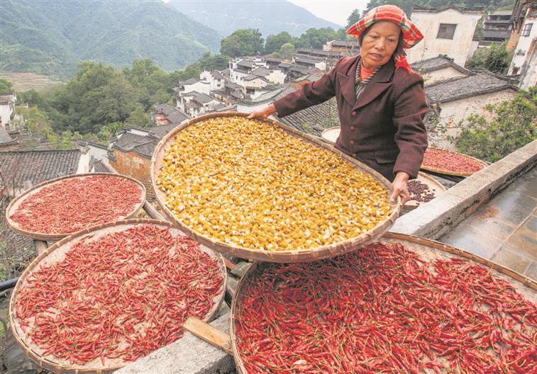 Lessons for India from China’s food import