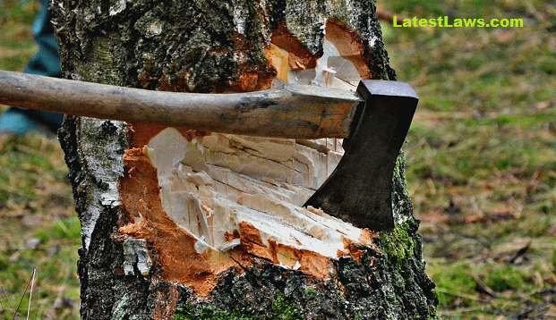 Halting the march of Environment Monster