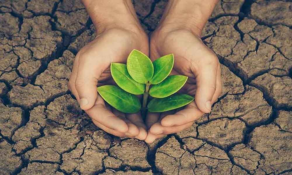 पर्यावरण का भारतीय दर्शन